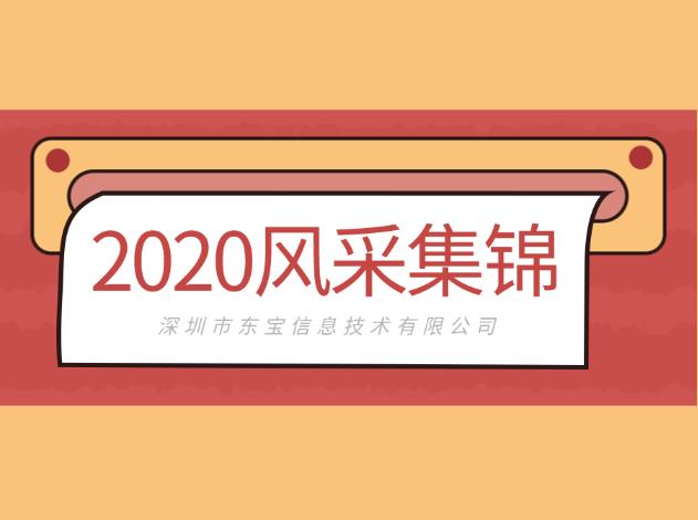 攜手、突破、共贏，東寶軟件2020風(fēng)采集錦！